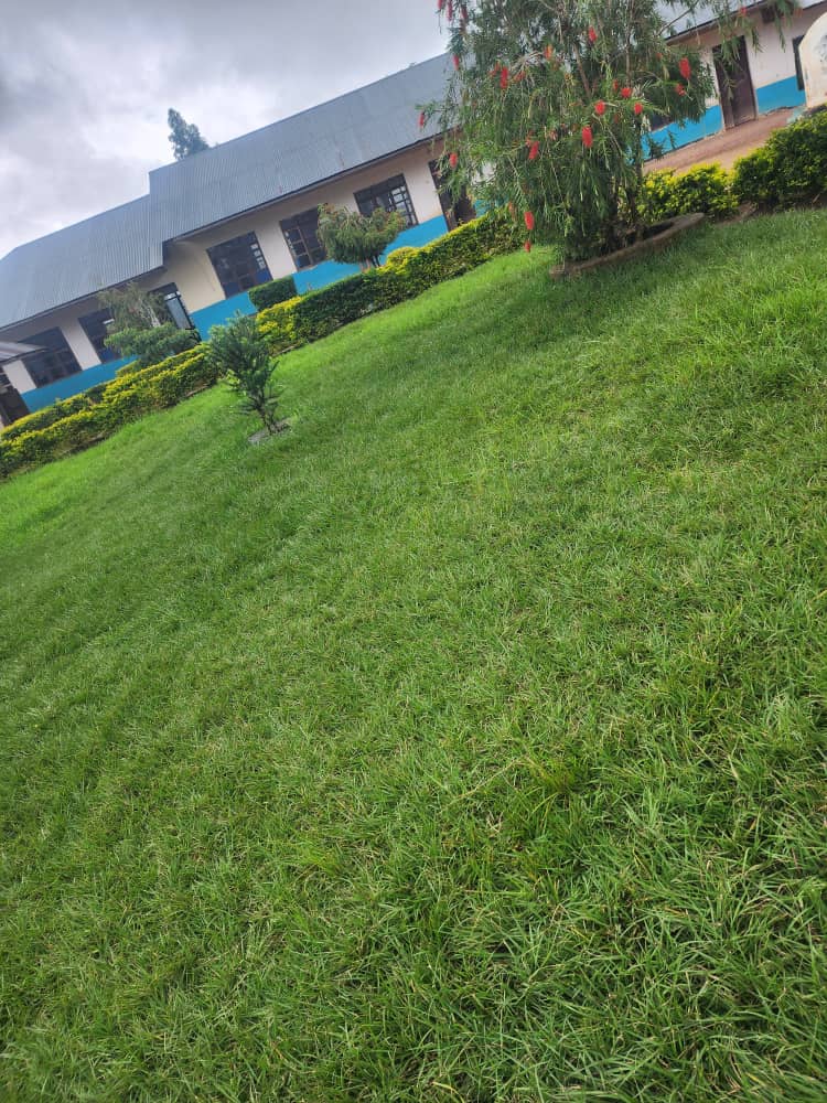 WhatsApp Image 2025 02 18 At 13.12.22 (2)